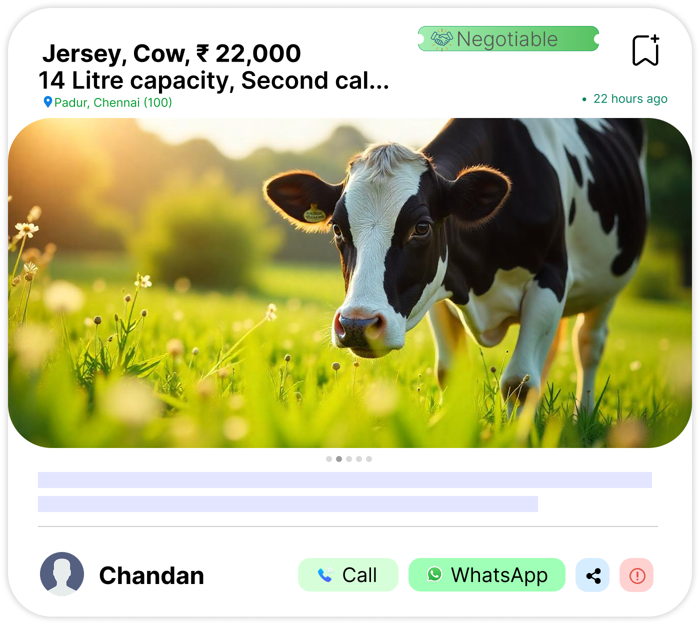 High-Quality Listings