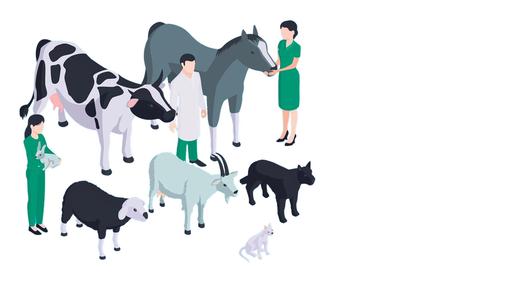 Wide Variety of Pets