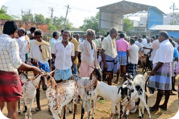 Limited Access to Services vs All-in-One Platform