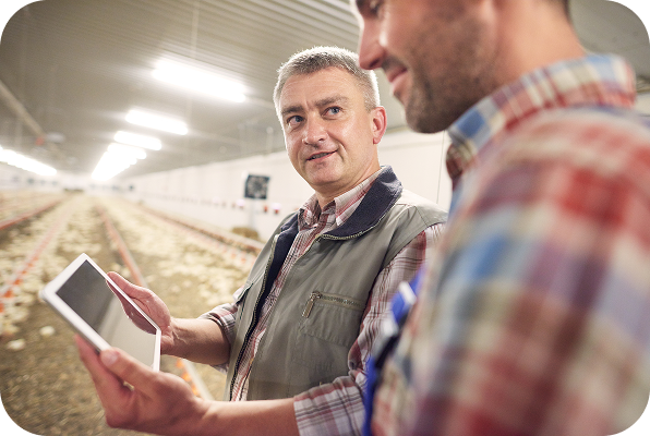 Extra Fees vs Free Listings