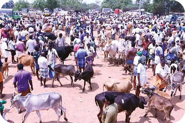 Time-Consuming Process vs Fast & Convenient Transactions